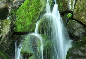 Hotel Garni Café Schacher – Einzelzimmer, 26qm mit Dusche/WC