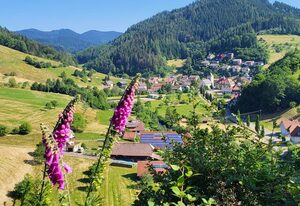 Hotel Walkenstein – Doppelzimmer "Kesselberg" mit Dusche und WC