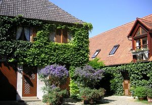 Ferienhof und Brennerei Dahlmann Schmidt – Ferienwohnung I