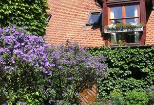 Ferienhof und Brennerei Dahlmann Schmidt – Ferienwohnung I
