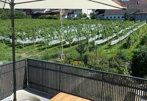 Ferienhaus Pflugwirts – Ferienhaus, 70qm, 1 Schlafzimmer, max 4 Personen