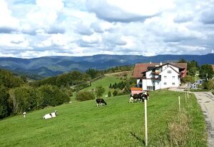 Höhenhotel Restaurant Kalikutt – Doppelzimmer Standard mit Balkon