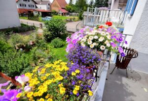 Ferienwohnung Heitzler – Ferienwohnung 100qm 4 Zimmer Terasse 25qm 1 Garage und 1 Stellplatz