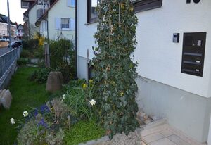 Ferienwohnung Diana – Ferienwohnung 90qm, max. 8 Personen