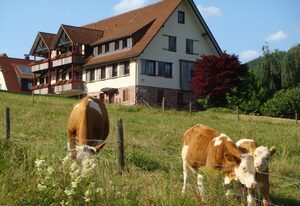 Ferienanlage Freyenhöfe – Wiedenberg