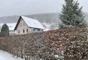 Ferienwohnung Schwarzwald Tannenzäpfle – Tannenzäpfle 1