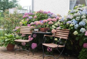Neckar-Koje – Dreibettzimmer
