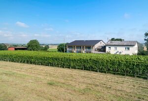 Winzerhof Schmid – Ferienwohnung 5 für 4 Personen