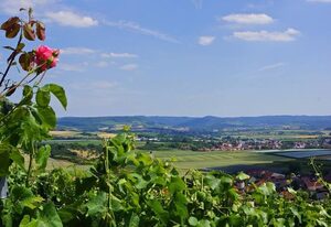 Wein & Bett Weihbrecht – Einzelzimmer