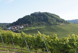 Winzerhof am Schlierbach – Ferienwohnung Lemberger