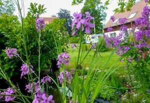 Schmetterlingsgarten