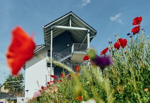 Hotel die Burg – Einzelzimmer