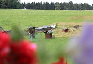 Landgasthof Waldeck – Doppelzimmer mit Dusche und WC