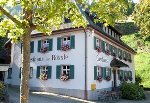 Gasthaus zum Rössle – Doppelzimmer, 19-22qm, Dusche/WC