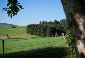Gasthof Löwen – Doppelzimmer mit Dusche/WC