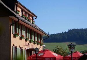 Gasthof Löwen – Doppelzimmer mit Dusche/WC