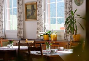 Gasthof Löwen – Doppelzimmer mit Dusche/WC
