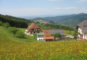 Reeshof – Panoramablick
