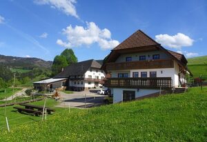 Reeshof – Panoramablick