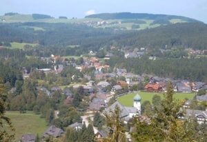 Mittleres Zimmer MZ1 Titisee,   im Gästehaus Lickert in Hinterzarten bei Oberzarten beim Skimuseum
