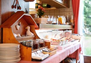 Hotel Garni Silberdiestel – Einzelzimmer
