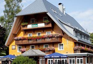 Hotel Adler Bärental – Doppelzimmer Kategorie A mit Dusche und WC