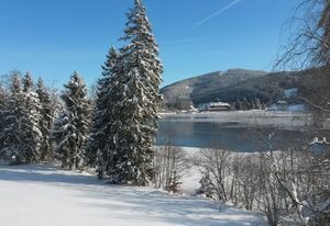 Ferienhaus am Titisee - mit Seeblick & eigenem Seezugang, Hinterzarten