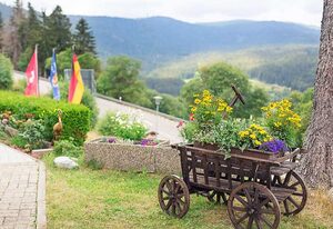 Hotel Diana in Feldberg (Schwarzwald) – Einzelzimmer