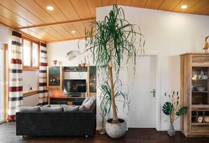 Ferienhaus am Millibach