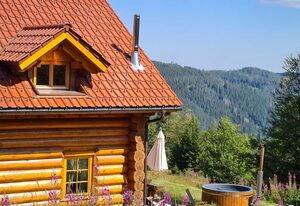 Ferienhaus Blockhaus Chalet Nr. 3
