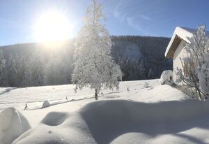 Black Forest Hideaway
