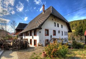 Schwarzwaldhaus Krebs - Peter Lustig, Lenzkirch, Feldberg
