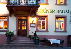 Grüner Baum Merzhausen – Doppelzimmer mit Dusche und WC