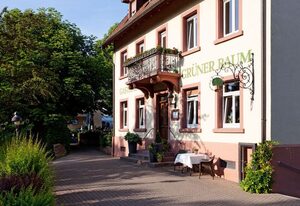 Grüner Baum Merzhausen – Doppelzimmer mit Dusche und WC