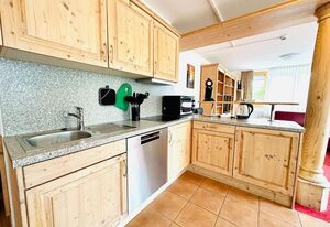 Ferienwohnung "Residenz Seebuck" direkt an der Skipiste, Ski in & Ski out am Feldberg!