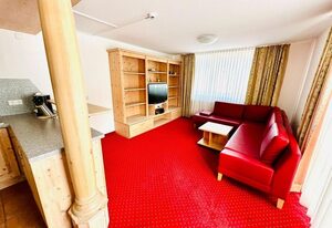 Ferienwohnung "Residenz Seebuck" direkt an der Skipiste, Ski in & Ski out am Feldberg!