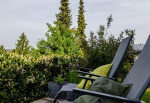 Hochwald