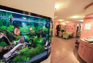 Hotel-Restaurant Schwörer – Doppelzimmer Standard im Stammhaus