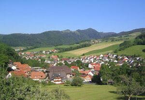 Goldener Adler Oberried - Hotel & Appartements – Comfort-Doppelzimmer A, max. 2 Personen
