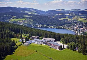 Hotel Saigerhöh – Kleine Schwarzwaldsuite mit Dusche/WC