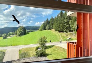 Schöne Aussicht (App 1406 / EX-Kurhotel)