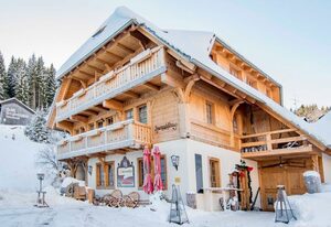 Hotel Höhengasthof Grüner Baum – Ferienwohnung Hochfirst