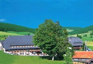 Hotel Zum Löwen - Unteres Wirtshaus – Doppelzimmer Standard mit Dusche und WC