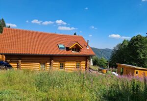 in Feldberg (Schwarzwald) mit Privatem Pool