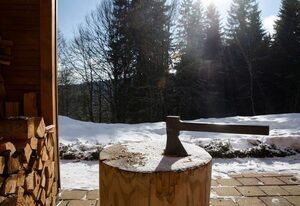in Feldberg (Schwarzwald) mit Privatem Pool