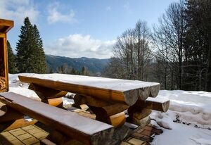 in Feldberg (Schwarzwald) mit Privatem Pool
