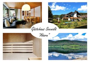 Gästehaus Seewald- Ferienwohnung 1 "Ahorn", Schluchsee, Blasiwald
