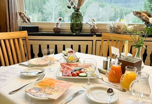 Landgasthof Jostalstüble – Einzelzimmer, 22qm, mit Dusche/WC und Balkon