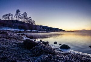 Tannenhof Fischbach - Fewo 4 "Hecht" - Schluchsee, 4 Schlafzimmer