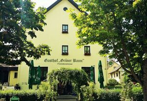 Hotel-Landgasthof Grüner Baum - Dittigheim – Einzelzimmer